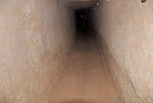 rats_tunnel_