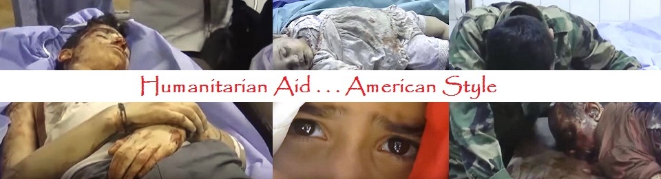 Humanitarian-Aid-USA-Style-990x260