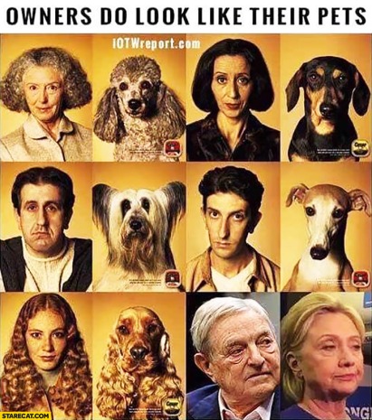 owners-do-look-like-their-pets-george-soros-hillary-clinton